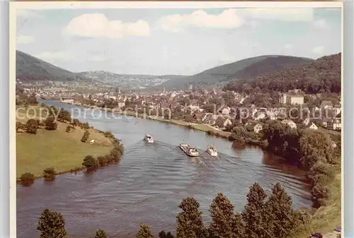 AK / Ansichtskarte Neckargemuend Panorama Kat. Neckargemuend