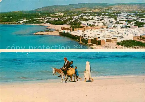 AK / Ansichtskarte Hammamet Panorama Kuestenstadt Esel Lasttier Kat. Tunesien