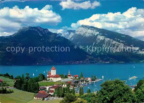 AK / Ansichtskarte Spiez BE Thunersee Sigriswiler Rothorn Niederhorn Kat. Spiez