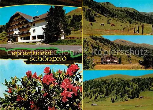 AK / Ansichtskarte Schoenfeld Lungau Sporthotel Schoenfeld Panorama