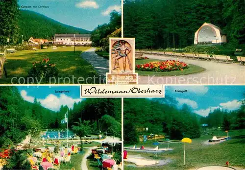 AK / Ansichtskarte Wildemann Kurpark Kurhaus Konzertpavillon Spiegelbad Schwimmbad Kleingolf Kat. Wildemann Harz