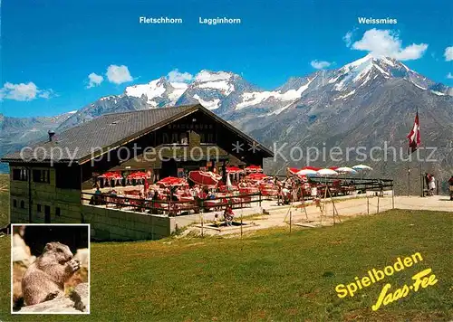 AK / Ansichtskarte Saas Fee Restaurant Spielboden Terrasse Fletschhorn Lagginhorn Weissmies Murmeltierkolonie Kat. Saas Fee