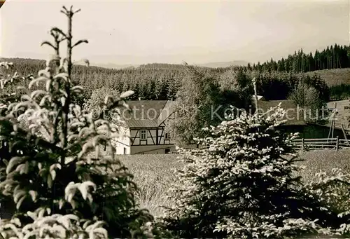 AK / Ansichtskarte Struthbach Pension Feige Kat. Bad Berleburg