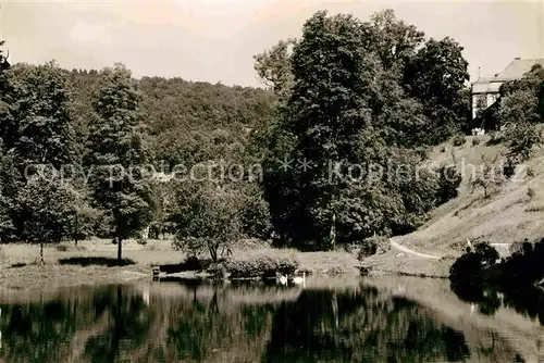 AK / Ansichtskarte Berleburg Bad Park Kat. Bad Berleburg