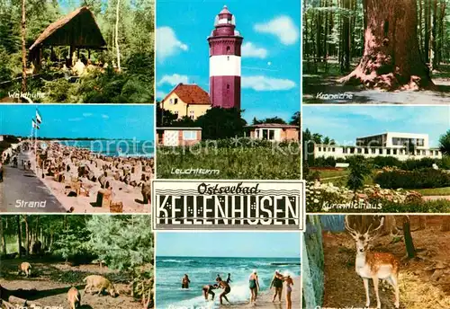 AK / Ansichtskarte Kellenhusen Ostseebad Waldhuette Leuchtturm Kroneiche Strand Kurmittelhaus Tierpark Hirsch Kat. Kellenhusen (Ostsee)