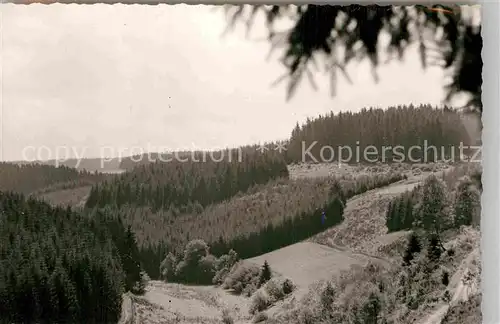 AK / Ansichtskarte Berghausen Wittgenstein Panorama Kat. Bad Berleburg