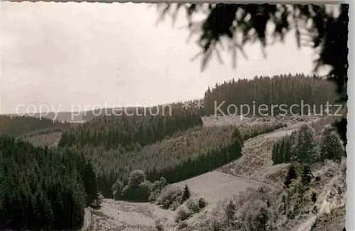 AK / Ansichtskarte Berghausen Wittgenstein Panorama Kat. Bad Berleburg