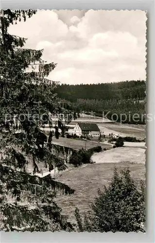 AK / Ansichtskarte Berleburg Bad Pension Hof Steinbach Kat. Bad Berleburg