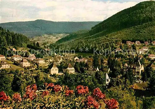 AK / Ansichtskarte Bad Herrenalb Panorama Kat. Bad Herrenalb