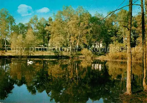 AK / Ansichtskarte Hoerste Lippe Waldteich Luftkurort Kat. Lage