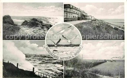 AK / Ansichtskarte Wittduen Amrum Duenen Strand Promenade Seebruecke Moewen