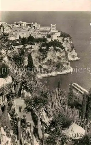 AK / Ansichtskarte Monaco Le Rocher vu du Jardin Exotique Kat. Monaco