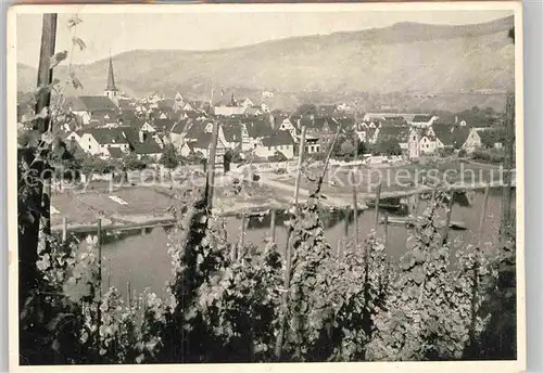 AK / Ansichtskarte Puenderich Mosel Panorama Weinberge Kat. Puenderich