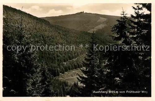 AK / Ansichtskarte Auersberg Wildenthal Panorama Blick vom Fruehbuser Weg Kat. Eibenstock