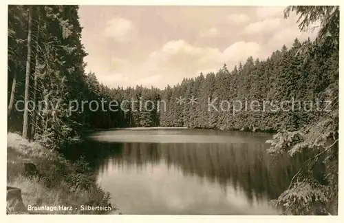 AK / Ansichtskarte Braunlage Silberteich  Kat. Braunlage Harz