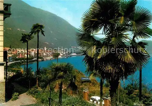 AK / Ansichtskarte Cannobio Lago Maggiore Teilansicht Kat. Italien
