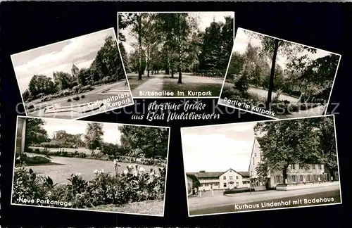 AK / Ansichtskarte Bad Waldliesborn Kleingolfplatz Kurpark Birkenallee Parkanlage Kurhaus Lindenhof Badehaus Kat. Lippstadt