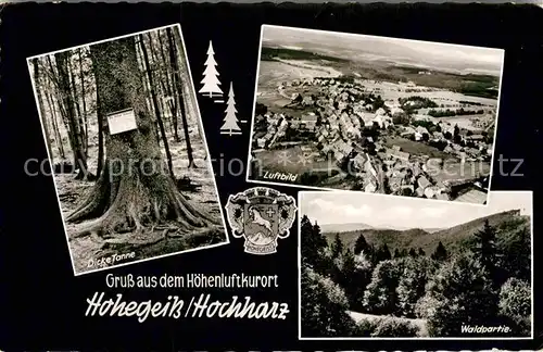 AK / Ansichtskarte Hohegeiss Harz Dicke Tanne Fliegeraufnahme  Kat. Braunlage