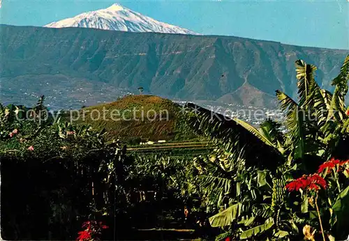 AK / Ansichtskarte Puerto de la Cruz Panorama mit Teide Kat. Puerto de la Cruz Tenerife