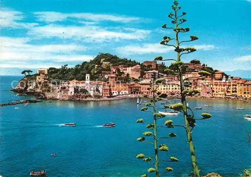 AK / Ansichtskarte Sestri Levante La Penisola Kat. Sestri Levante