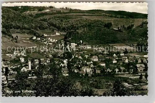 AK / Ansichtskarte Laasphe Kalteborn Panorama Kat. Bad Laasphe