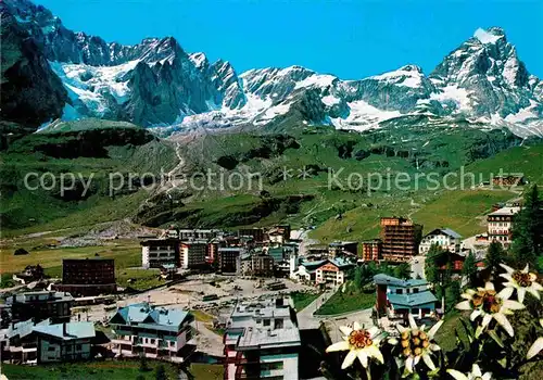 AK / Ansichtskarte Breuil Cervinia Valle Aosta Edelweiss Kat. Cervinia