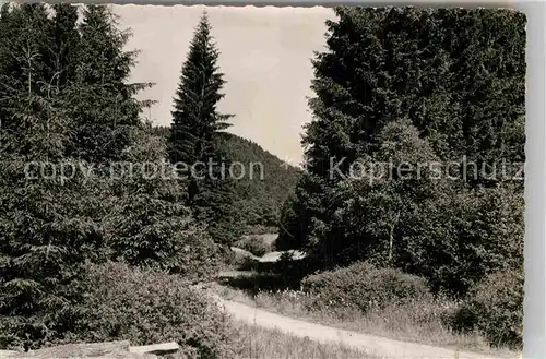 AK / Ansichtskarte Wingeshausen Panorama Kat. Bad Berleburg