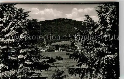 AK / Ansichtskarte Wemlighausen Panorama Kat. Bad Berleburg