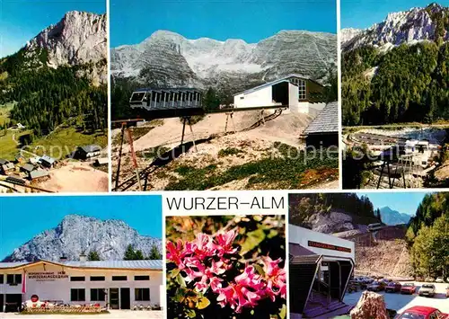 AK / Ansichtskarte Spital Pyhrn Standseilbahn Wurzeralm Alpenflora Alpen Kat. Spital am Pyhrn