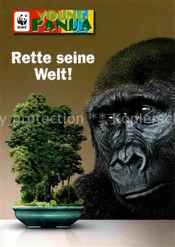 AK / Ansichtskarte Affen Gorilla Afrika WWF Young Panda  Kat. Tiere