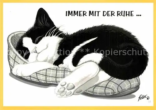 AK / Ansichtskarte Katzen Werbung Felix Kat. Tiere