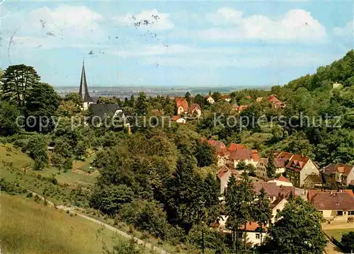 AK / Ansichtskarte Auerbach Bergstrasse Panorama Kat. Bensheim