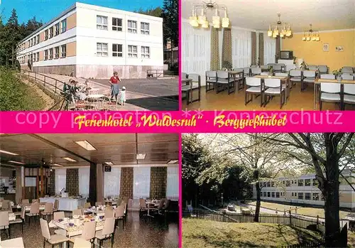 AK / Ansichtskarte Berggiesshuebel Hotel Waldesruh Fernsehraum Speisesaal Aussenansicht Kat. Bad Gottleuba Berggiesshuebel