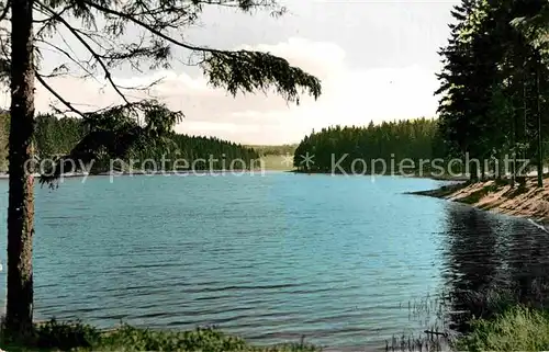 AK / Ansichtskarte Buntenbock Prinzenteich Kat. Clausthal Zellerfeld