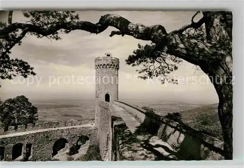 AK / Ansichtskarte Auerbach Bergstrasse Auerbacher Schloss Kat. Bensheim