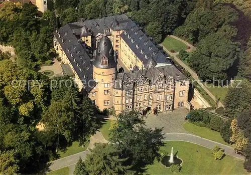 AK / Ansichtskarte Detmold Fliegeraufnahme Fuerstliches Residenzschloss Kat. Detmold