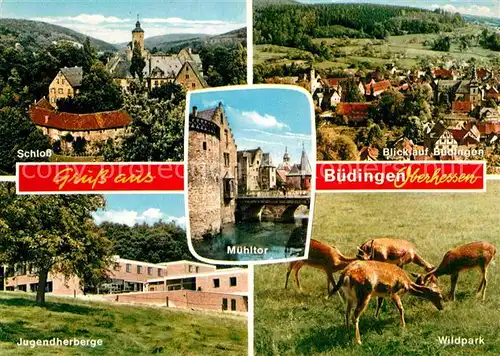 AK / Ansichtskarte Buedingen Hessen Schloss Jugendherberge Wildpark Teilansicht Muehltor Kat. Buedingen