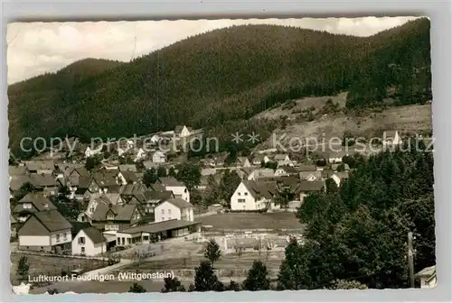 AK / Ansichtskarte Feudingen Panorama Kat. Bad Laasphe