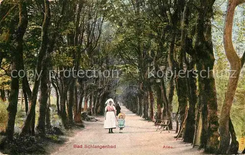 AK / Ansichtskarte Schlangenbad Taunus Allee Kat. Schlangenbad