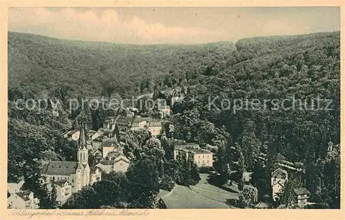 AK / Ansichtskarte Schlangenbad Taunus Blick von der Altaneiche Kat. Schlangenbad