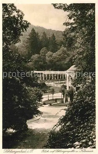 AK / Ansichtskarte Schlangenbad Taunus Schlangenquelle und Kolonnade Kat. Schlangenbad