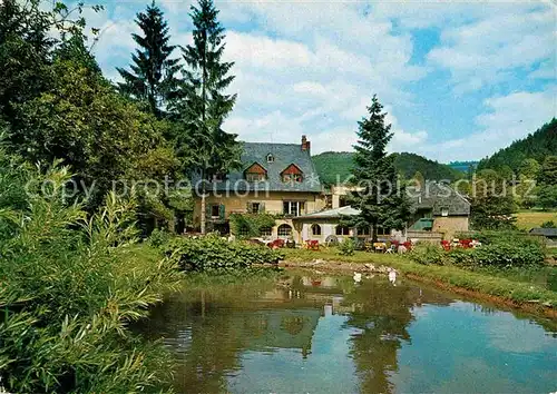 AK / Ansichtskarte Mayen Schwedisches Gaestehaus Nette Muehle Teich Kat. Mayen