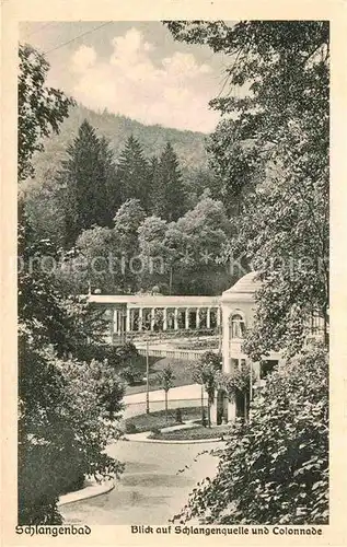 AK / Ansichtskarte Schlangenbad Taunus Schlangenquelle und Colonnade Kat. Schlangenbad