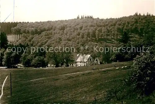 AK / Ansichtskarte Hoheleye Gasthaus Graberhof Kat. Winterberg