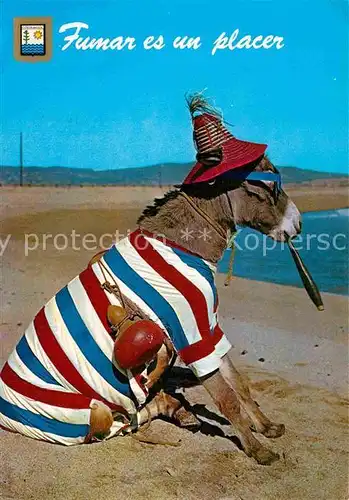 AK / Ansichtskarte Esel Tiere Zigarre Costa del Sol El Burro Playero Kat. Tiere