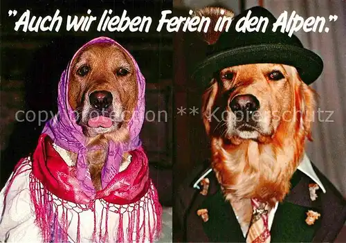 AK / Ansichtskarte Hunde Vermenschlicht  Kat. Tiere