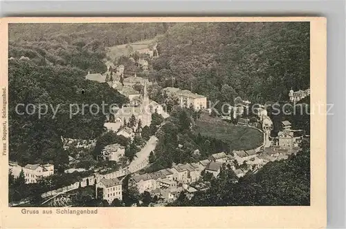 AK / Ansichtskarte Schlangenbad Taunus Fliegeraufnahme Kat. Schlangenbad