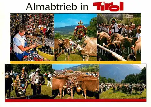 AK / Ansichtskarte Kuehe Almabtrieb Tirol  Kat. Tiere