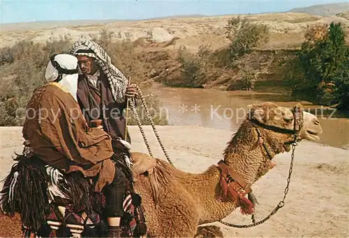 AK / Ansichtskarte Kamele Jordan River  Kat. Tiere