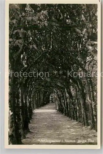 AK / Ansichtskarte Schlangenbad Taunus Dunkle Allee Kat. Schlangenbad